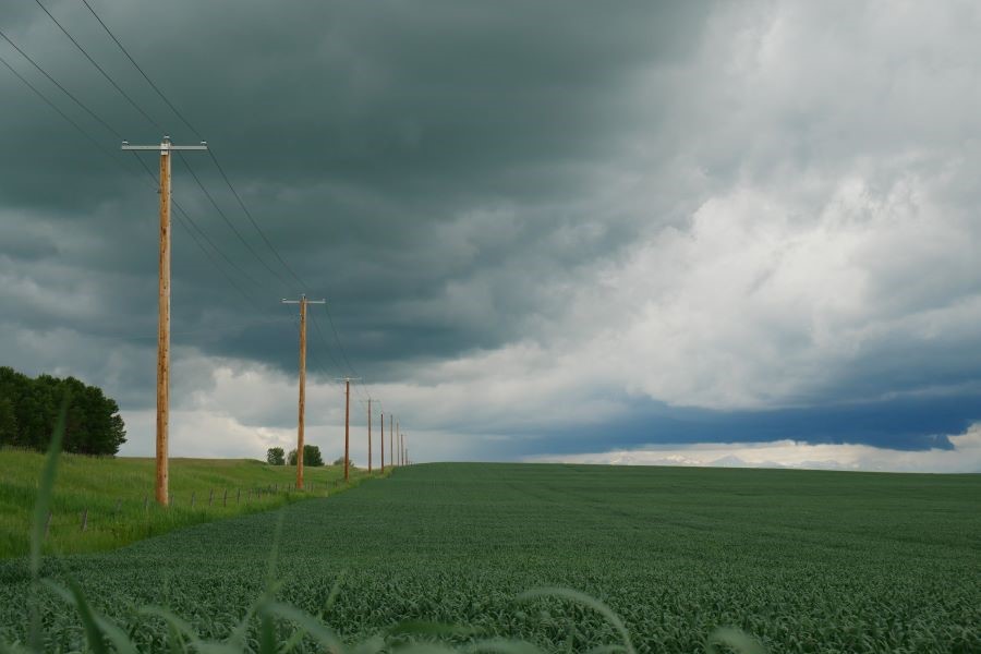 power poles in a field